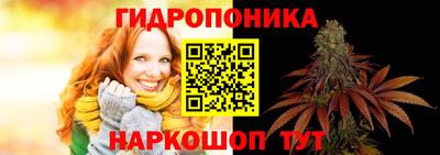 мет Кимры