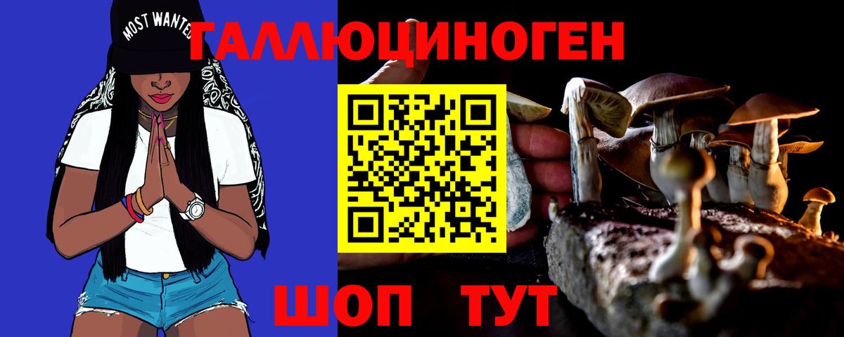 Псилоцибиновые грибы MAGIC MUSHROOMS  Вход с VPN  Красногорск  Галлюциногенные грибы Psilocybine cubensis 
